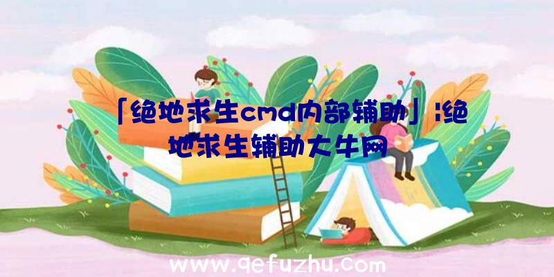 「绝地求生cmd内部辅助」|绝地求生辅助大牛网